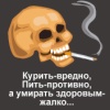 ������ ������������